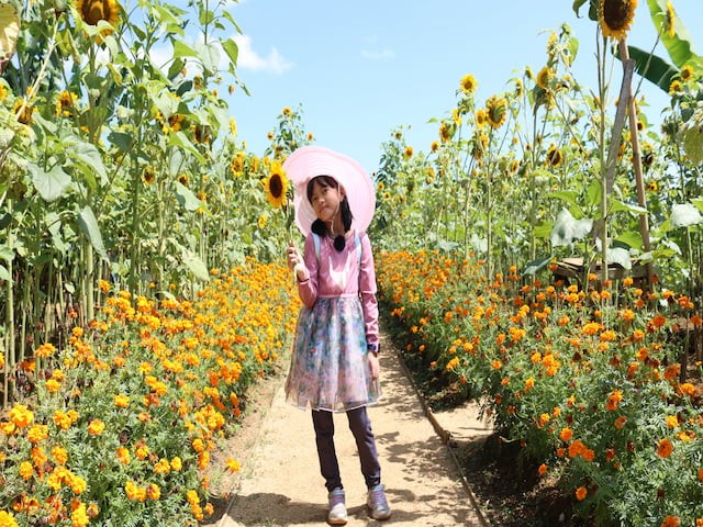 Selfie Ola di Kebun Bunga Matahari Puncak Bogor Cisarua Desa Kopo